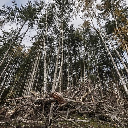 Veul Oe Thuus Hoeve Kroep An Vorden Buitenkant foto