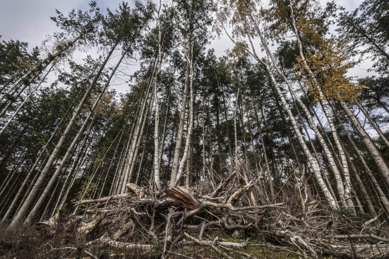 Veul Oe Thuus Hoeve Kroep An Vorden Buitenkant foto